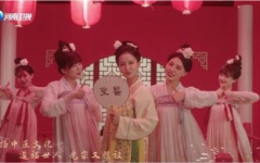 河南卫视 小姐姐节目,展现青春风采，传承文化魅力